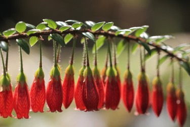珠海金湾私人快速借钱网，轻松解决资金难题