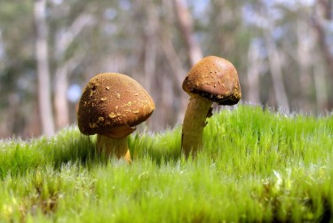 珠海金湾私人老板放款：轻松融资的秘密通道